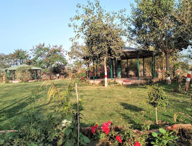 Katara Hill Botanical Garden, Bhopal, Madhya Pradesh - Vushii.com